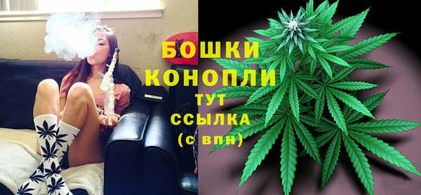 мет Нягань