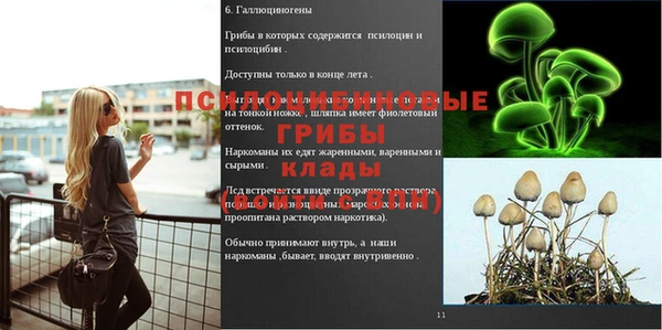 круглые Нязепетровск